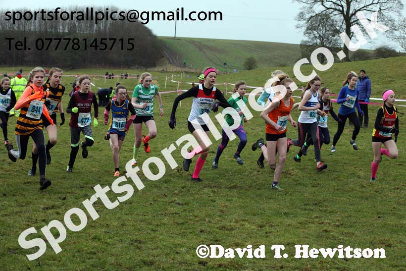 Girls under-13s, Start Fitness NEHL, Thornley Hill Farm, Peterlee, County Durham. Photo: David T. Hewitson/Sports for All Pics